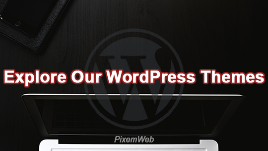 Premium WordPress Themes