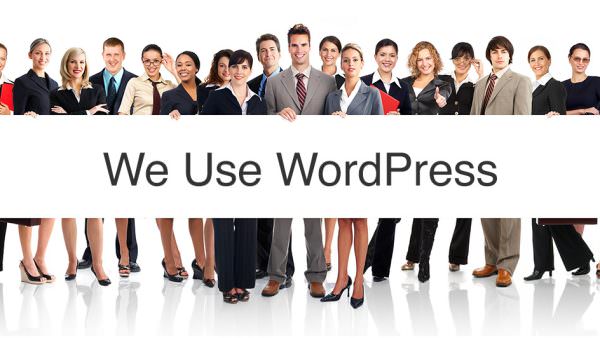 wordpress-website-users